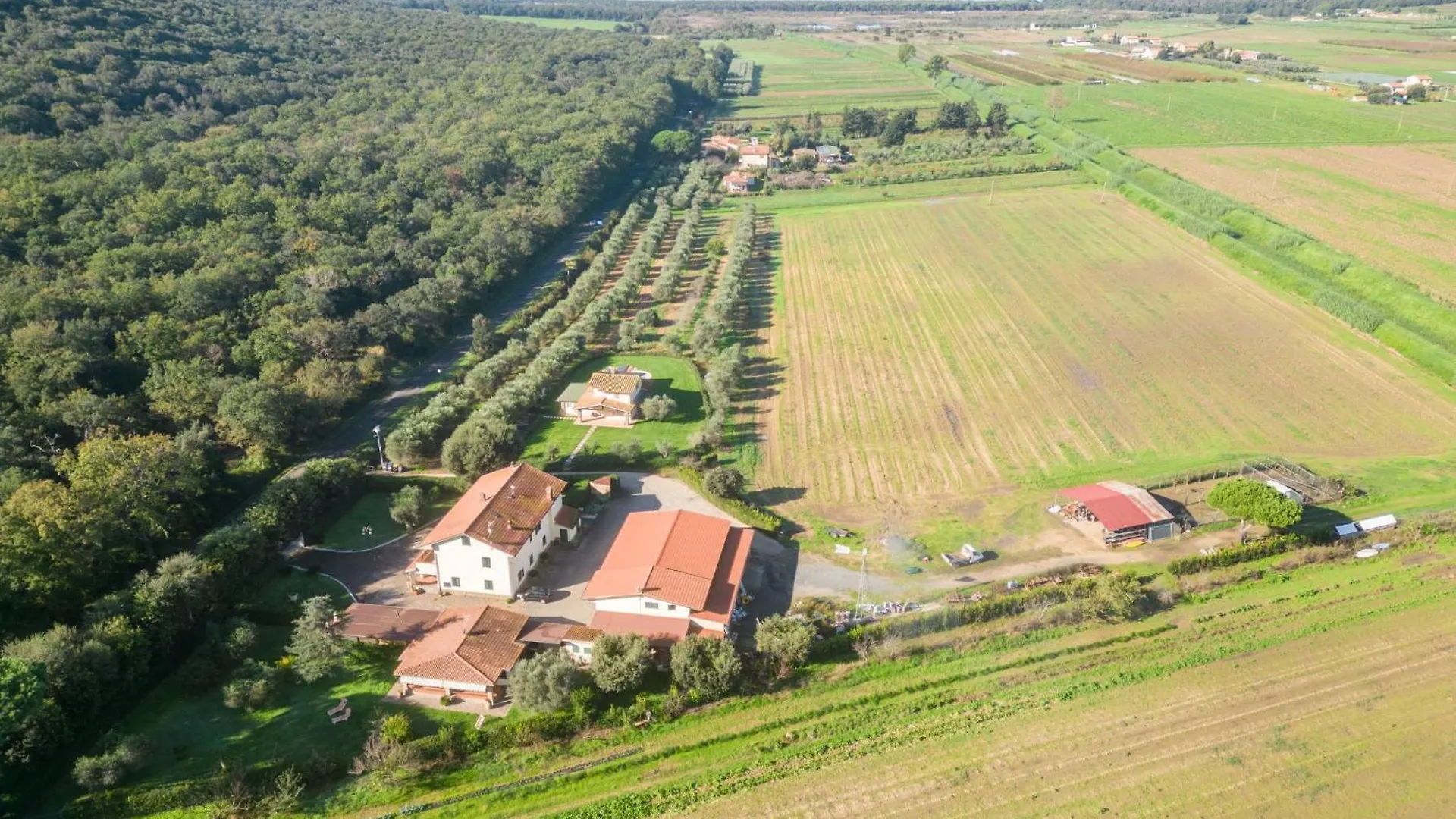 Holiday Home Rosa By Interhome Pian d'Alma Italy